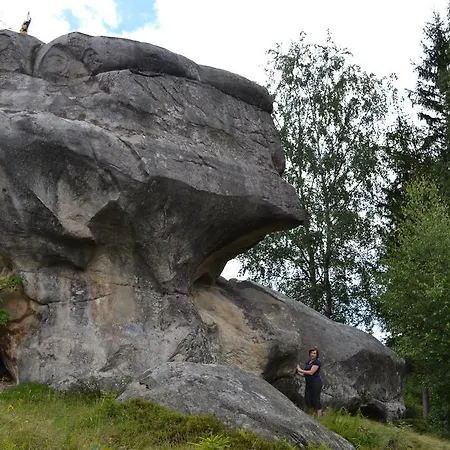 Feriehus Eco House Butinar Kosmach